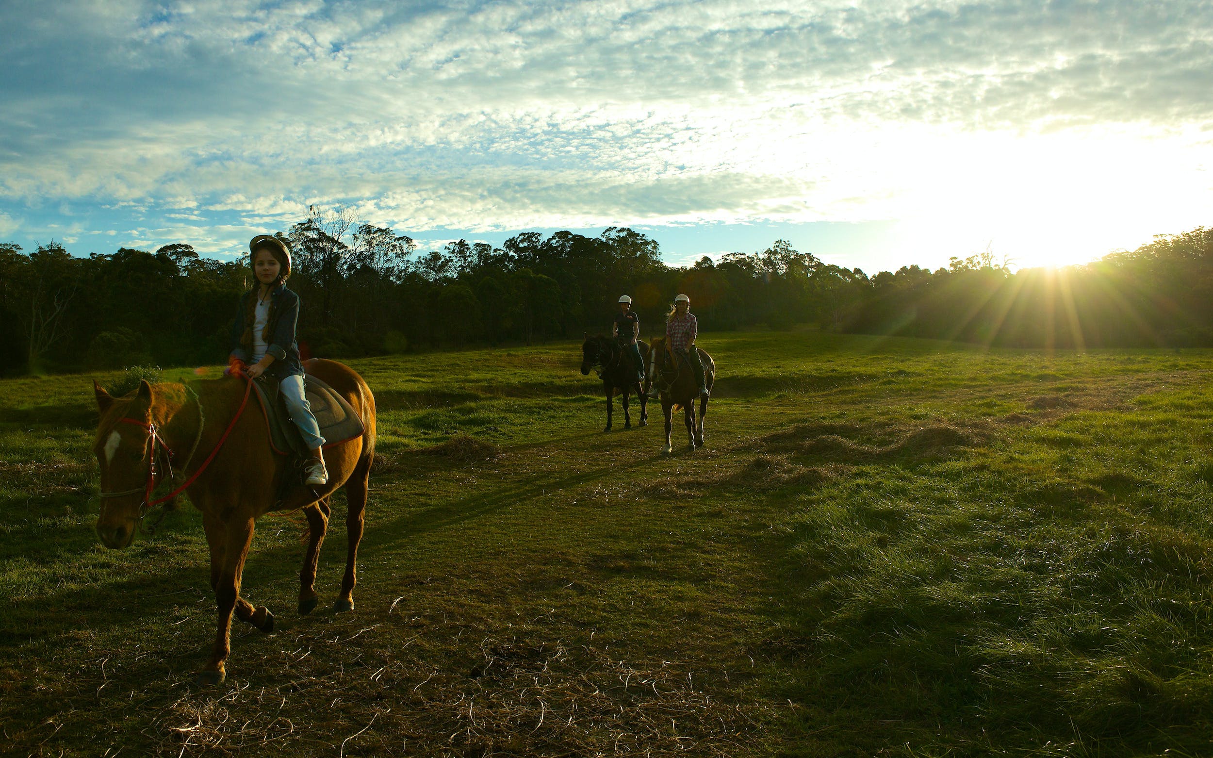 Scenic NSW Horse Riding Centre - thumb 0