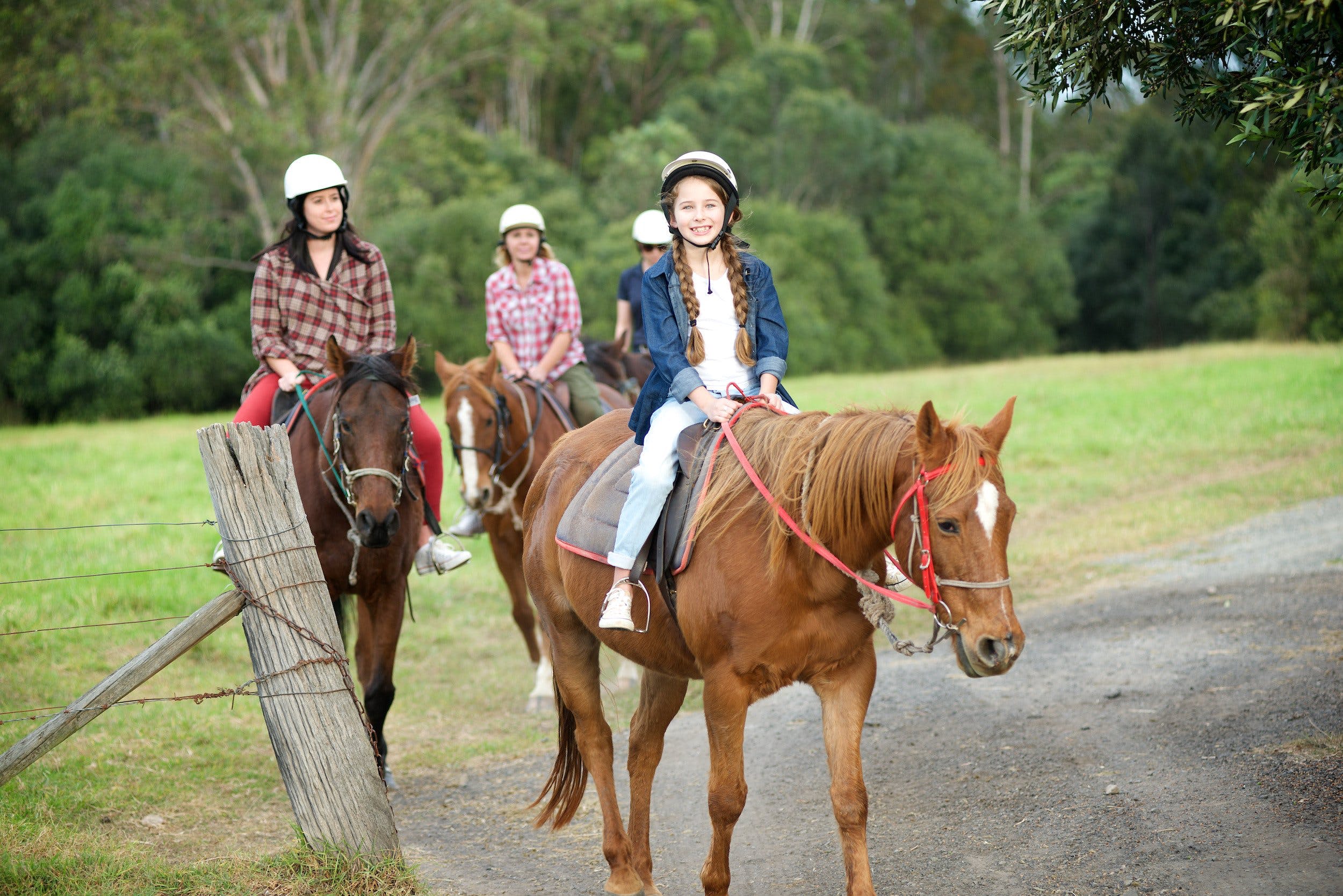 Scenic NSW Horse Riding Centre - thumb 2