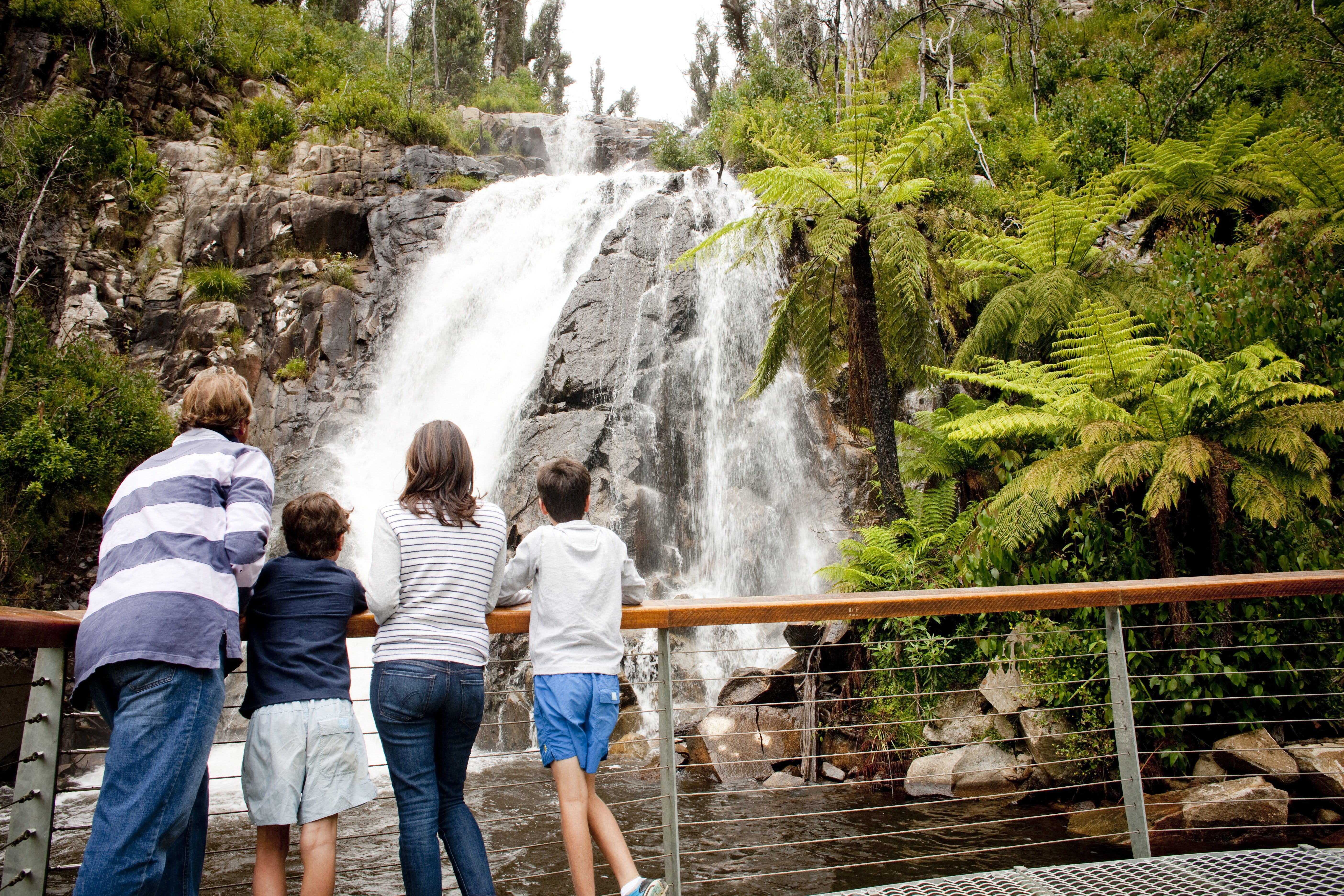 Steavenson Falls - Find Attractions