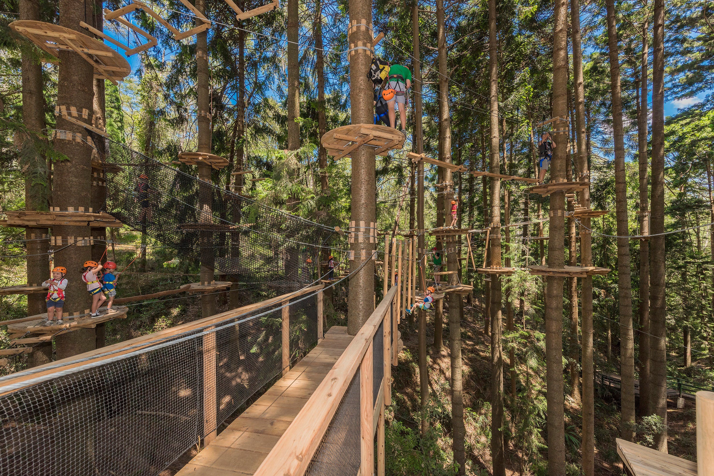 TreeTops Sydney The Hills - Find Attractions