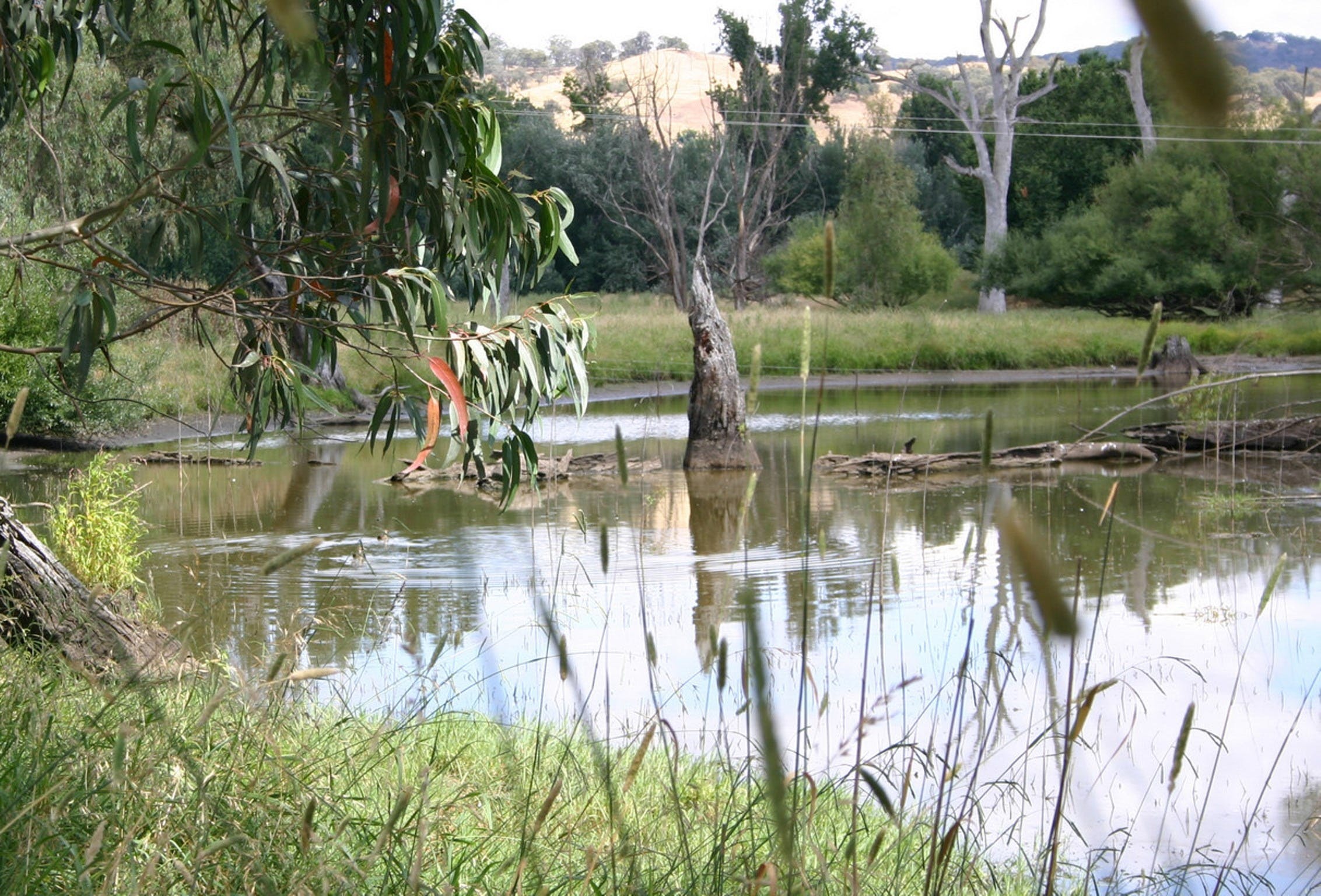 Tumut Wetlands - Attractions Melbourne
