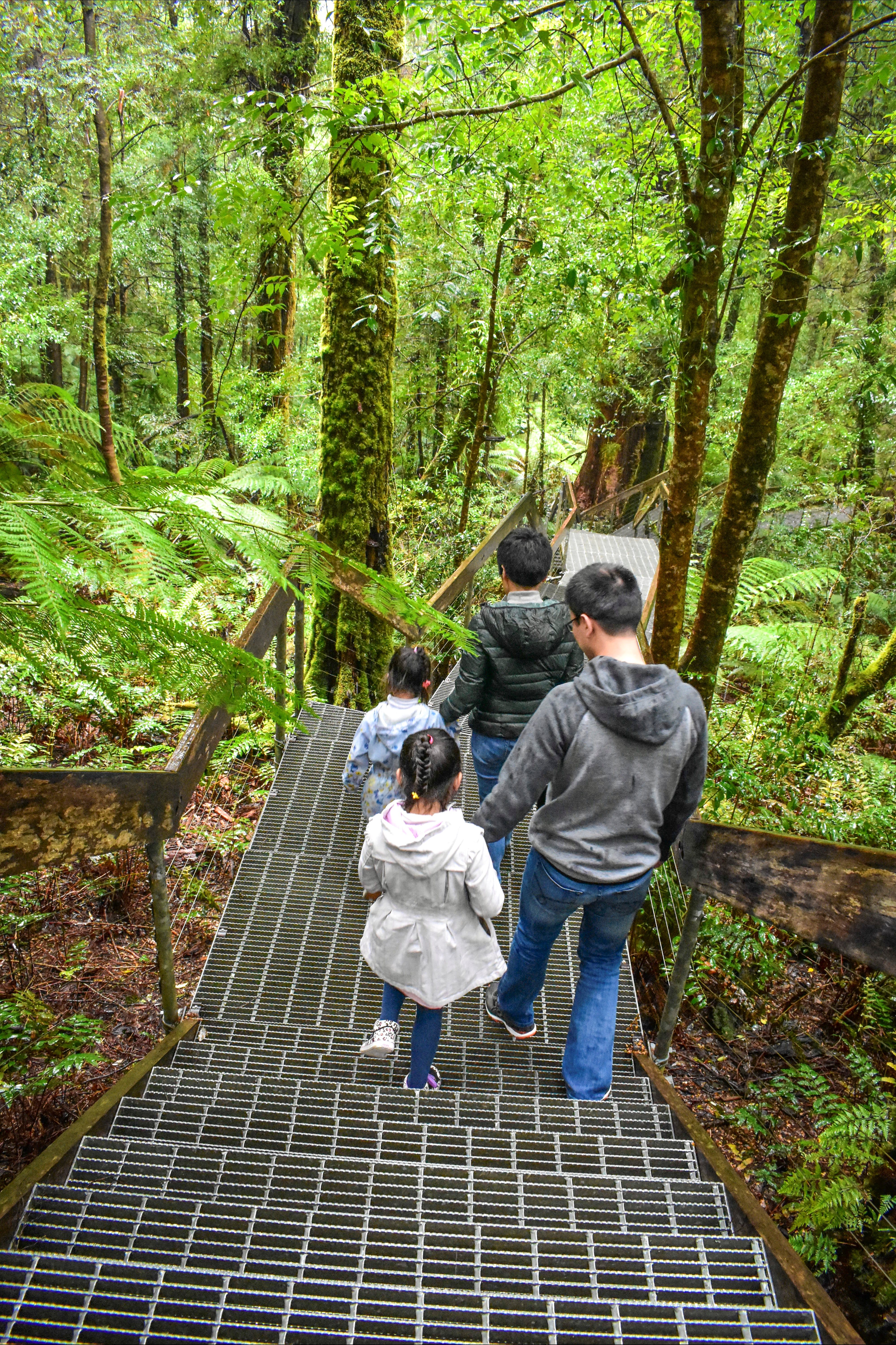 Yarra Ranges National Park - Find Attractions