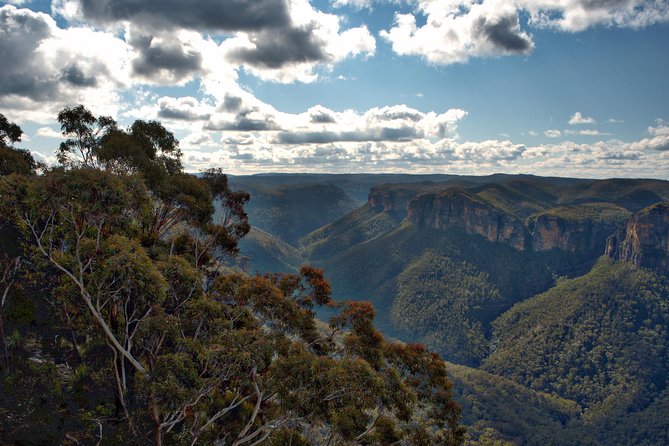 Unforgettable Blue Mountains Day Tour - thumb 2