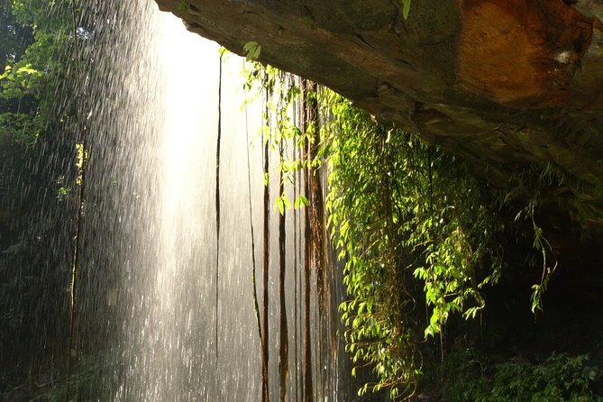 Rainforest & Waterfall Experience - thumb 9