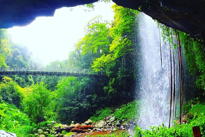 Rainforest & Waterfall Experience - thumb 6