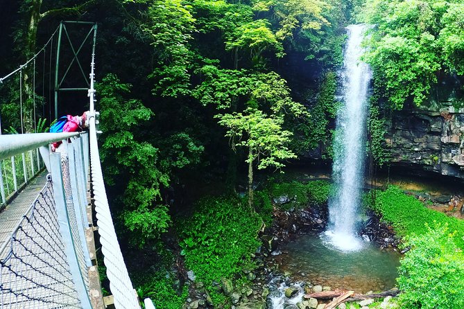 Rainforest & Waterfall Experience - thumb 0