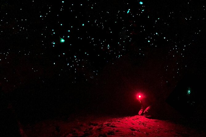 Blue Mountains Hiking Glow Worms Cave Wildlife Spotlighting Night Adventure - thumb 5