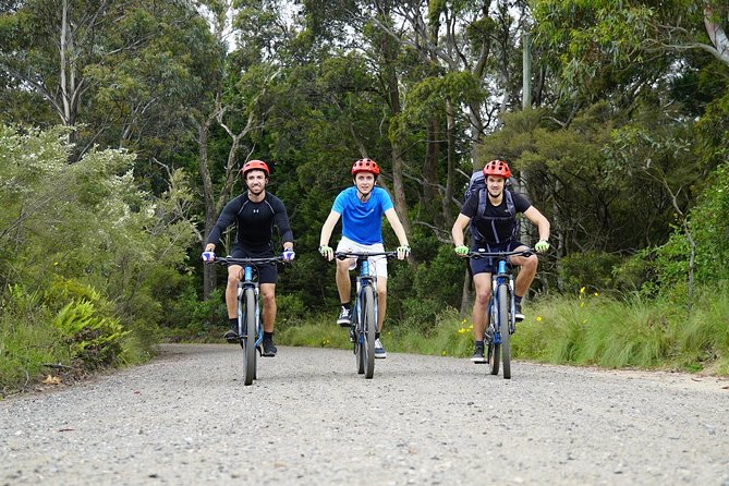 Blue Mountains Hanging Rock SELF-GUIDED Mountain Bike Hire Service - Accommodation ACT 5