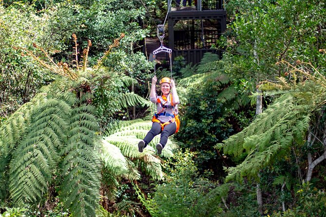 Illawarra Fly Treetop Adventures Treetop Walk Admission Ticket - Accommodation ACT 2