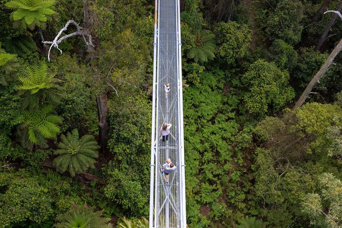 Illawarra Fly Treetop Adventures Treetop Walk Admission Ticket - thumb 4