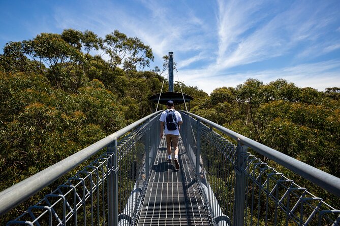 Illawarra Fly Treetop Adventures Treetop Walk Admission Ticket - Accommodation ACT 0