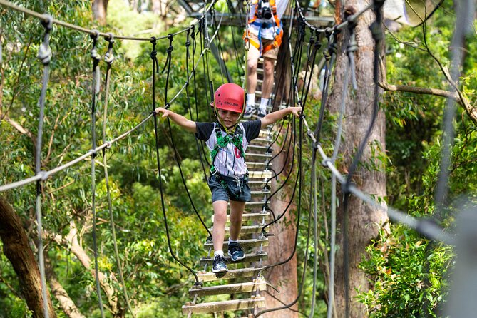 Illawarra Fly Treetop Adventures Treetop Walk Admission Ticket - Accommodation ACT 3