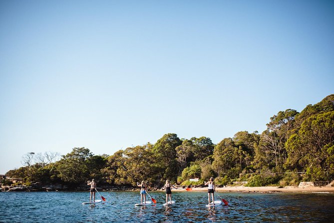 Stand Up Paddle Board Hire - 2 Hours - Accommodation ACT 2