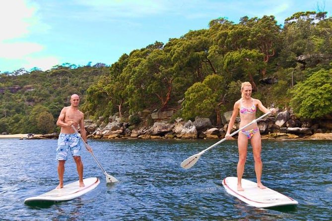 Stand Up Paddle Board Hire - 2 Hours - Accommodation ACT 0
