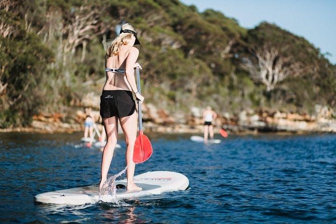 Stand Up Paddle Board Hire - 2 Hours - Accommodation ACT 3