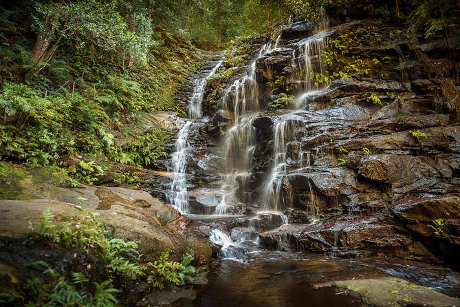 Ultimate Blue Mountains Waterfalls, Walks & Sunset PRIVATE Tour - thumb 10