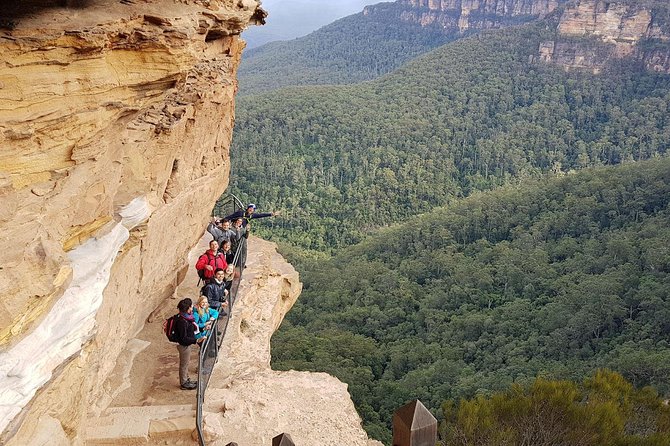 Two-Day Sydney Blue Mountains Sea To Summit Adventure - thumb 5
