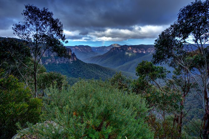 Ultimate Blue Mountains And Wildlife Tour - thumb 6