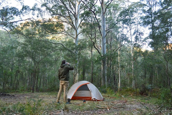 Blue Mountains Highlights - Overnight Hiking Trip - Accommodation ACT 4