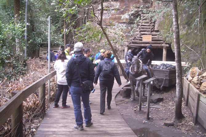 Private Blue Mountains Tour With Expert Guide - Accommodation ACT 8