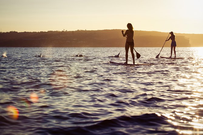 1 Hour Stand Up Paddle Board Rental - Accommodation ACT 1