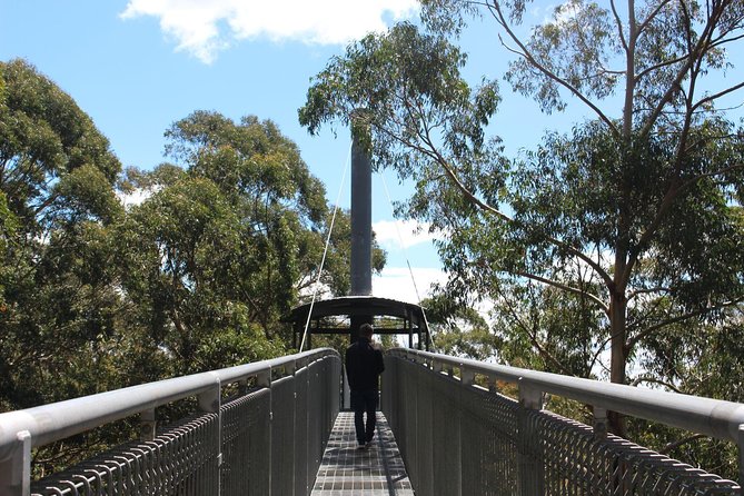 Illawarra Fly Treetop Adventures Admission Including Zipline Tour - Accommodation ACT 2