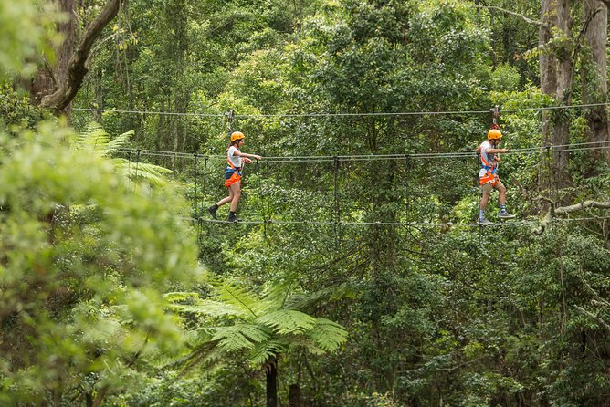 Illawarra Fly Treetop Adventures Admission Including Zipline Tour - Accommodation ACT 0