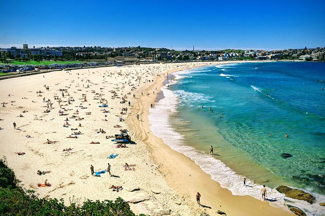 Sydney & Bondi Beach Plus Local Secrets With \'Personalised Sydney Tours\' - Accommodation ACT 12