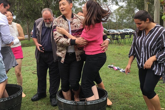 Hunter Valley Grape Stomping - Accommodation ACT 4