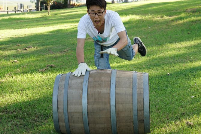 Hunter Valley Wine Barrel Rolling - Accommodation ACT 2