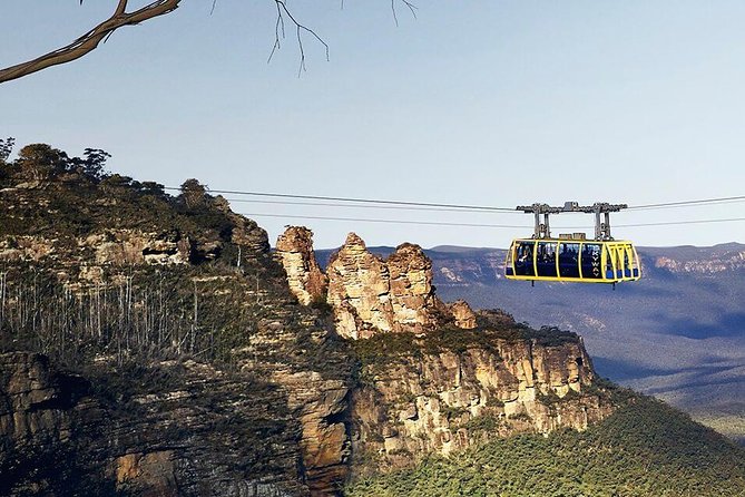 Small Group Blue Mountains, Featherdale, Lunch & Cruise Day Tour - Accommodation ACT 0