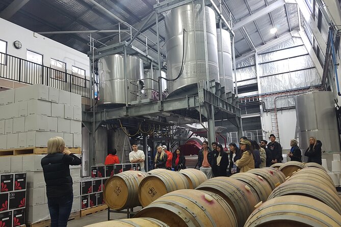 Hunter Valley Small Group Wine, Gin, Cheese & Chocolate Tour - thumb 6