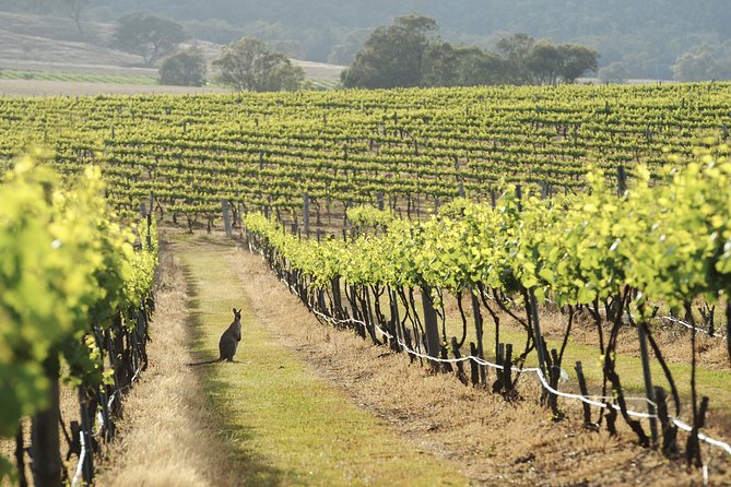 Mudgee 2 Day Private Wine Tasting And Sightseeing Tour From Sydney - Accommodation ACT 4