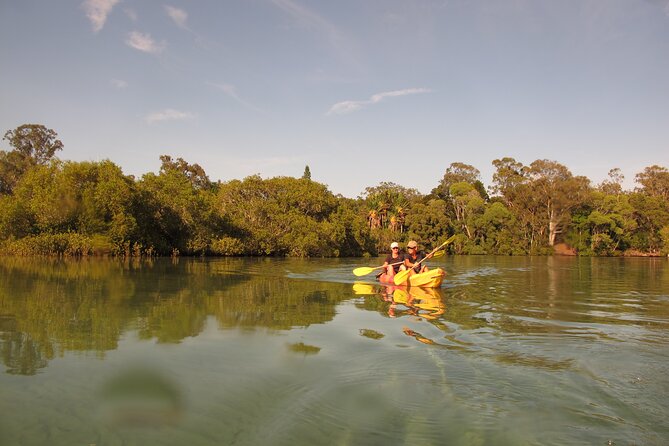 2-Hour Rental Kayak Double In Brunswick River - Accommodation ACT 5
