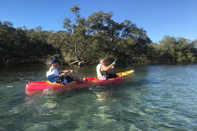 2-Hour Rental Kayak Double In Brunswick River - thumb 4