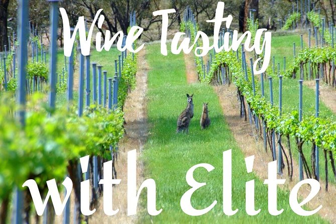 Six Hour - Plan Your Own Wine And Cheese Tour Hunter Valley - thumb 7
