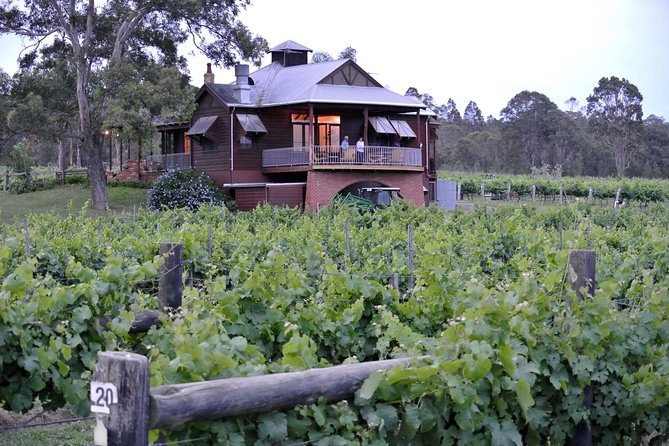 Six Hour - Plan Your Own Wine And Cheese Tour Hunter Valley - Accommodation ACT 11