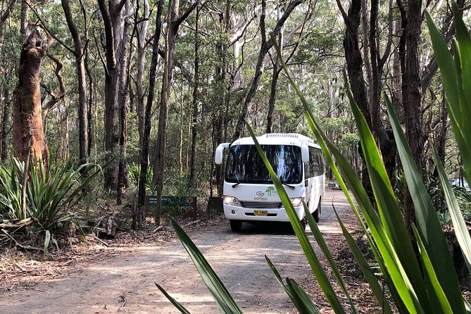 Royal National Park Shuttle Bus To The Coast Track - thumb 0