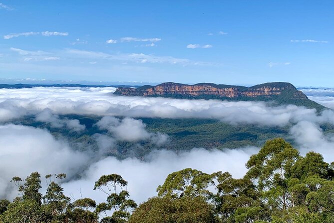 Taste Of The Blue Mountains - Lunch & Wine Tasting, Beer, Cider & Gin Tasting - Accommodation ACT 3