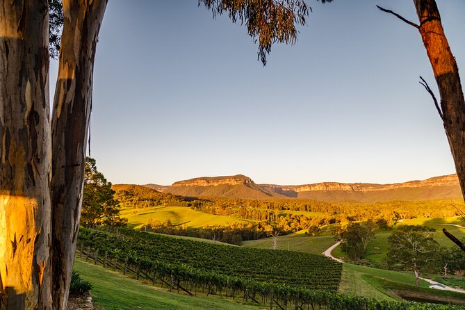 Taste Of The Blue Mountains - Lunch & Wine Tasting, Beer, Cider & Gin Tasting - Accommodation ACT 11