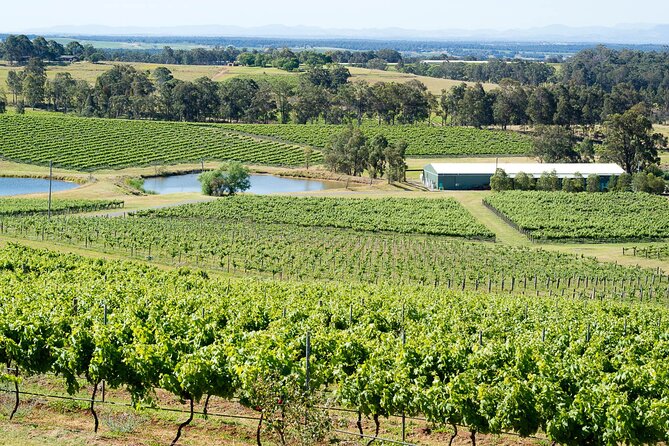 Hunter Valley All-Inclusive Small Group Tour - thumb 2