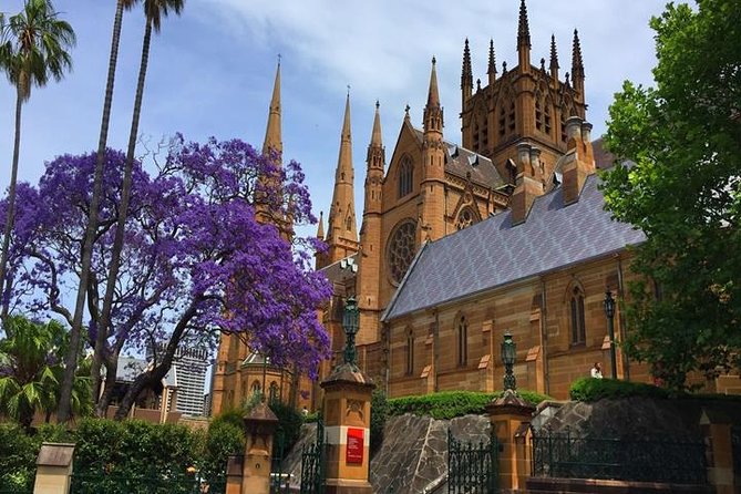 Half-Day Walking Tour In Sydney - Accommodation ACT 4
