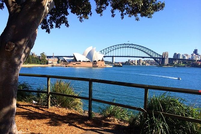 Half-Day Walking Tour In Sydney - Accommodation ACT 0
