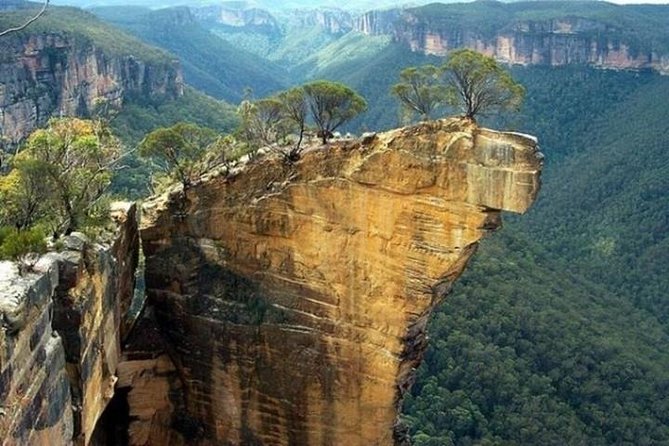 Full-Day Blue Mountains Small-Group Tour With River Cruise - thumb 5