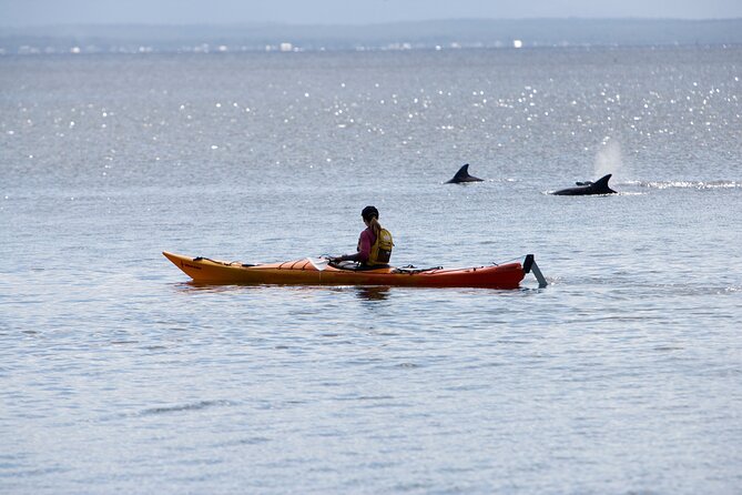 Half-Day Jervis Bay Sea Kayak Tour - thumb 4