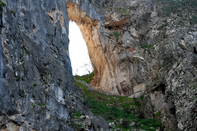 Jenolan Caves - Wildlife And Caves - thumb 3