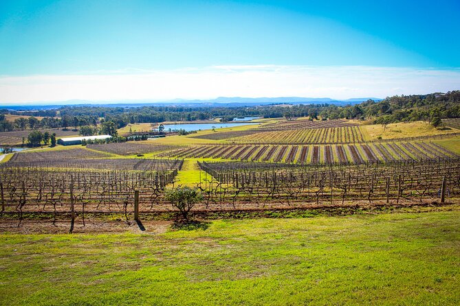 Hunter Valley Private Tour - thumb 8