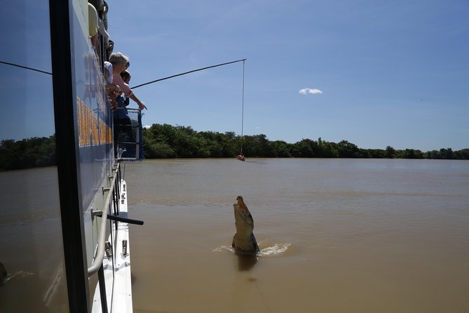 Darwin City Sights And Jumping Crocodile Cruise - thumb 2