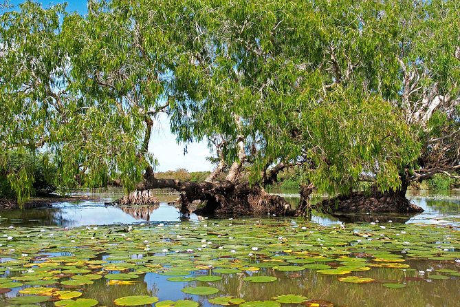 Ethical Adventures - Kakadu 2 Day- Max 10 Guests - thumb 10
