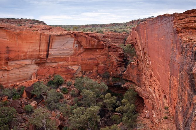 Uluru, Kata Tjuta And Kings Canyon Camping Safari From Alice Springs - thumb 4